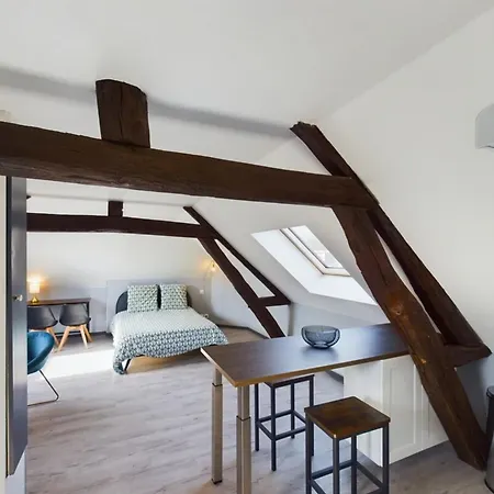 Le Cocoon Savinois سانت سافين