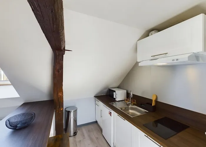 Le Cocoon Savinois Apartment *