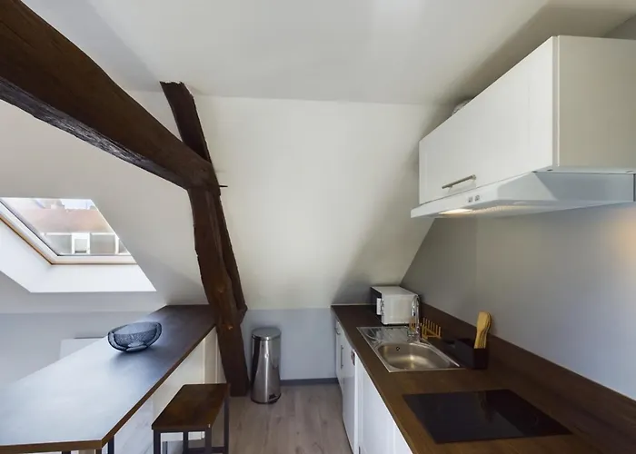 Le Cocoon Savinois Apartment *